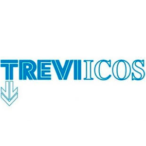 Treviicos - Edens Construction